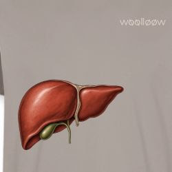 liver shirt